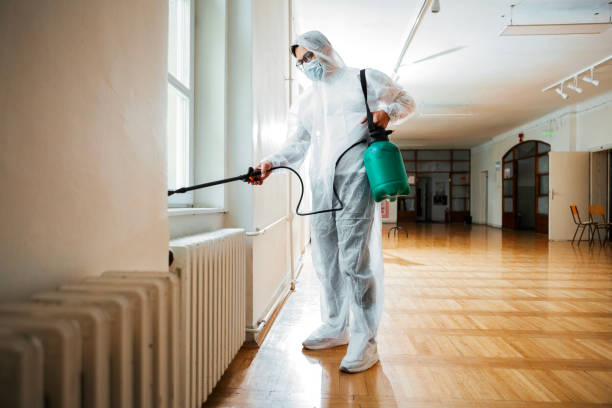 Professional Pest Control in Brushy Creek, TX